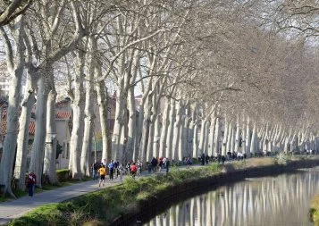 Santé. Des résultats inquiétants sur les polluants éternels dans l'eau en Occitanie