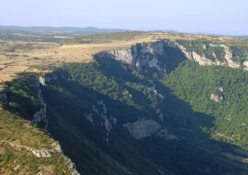 Dossier. Quand la biodiversité peut rapporter gros - 1ere partie 