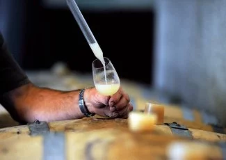 Vin du Sud-Ouest : la foire aux médailles