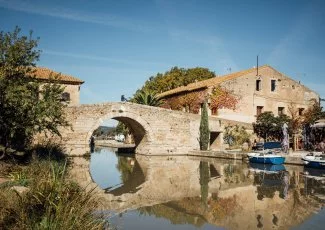 Les entreprises au chevet des platanes malades du canal du Midi