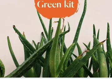 Green kit, des goodies originaux et éco-responsables pour les entreprises