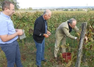 La Croix des marchands et le Château Pelvié. Deux vignobles, un seul coeur d'AOC Gaillac