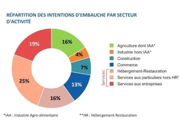 Recrutement : 2022, l'année de tous les records en Occitanie !