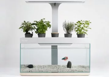 Le Toulousain Nénufarm lance son aquarium-potager autonome