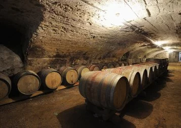 Les Vins Aujoux, sincérité et modernité