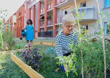 Le Groupe des Chalets innove pour construire du vivre-ensemble