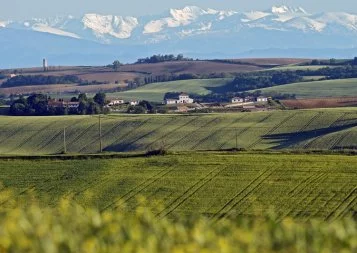 Dossier. Les circuits courts ont le vent en poupe - 1ère partie